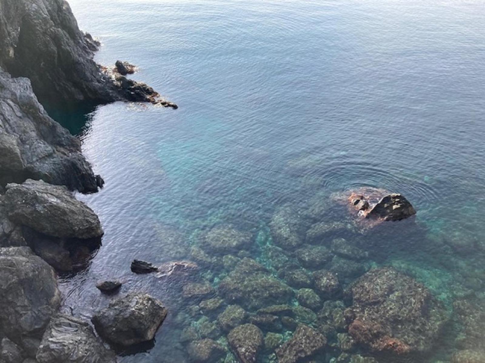 Pippo Cosy Studio Flat With Ac Monterosso al Mare Exterior foto